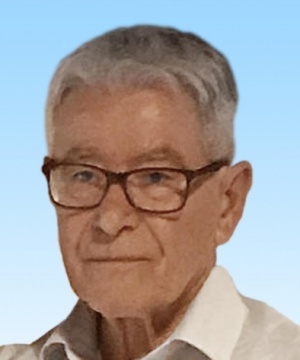 VINCENZO DE LUCA