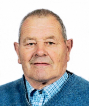 MARIO CHIARANDINI