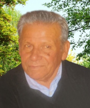 RINO FECCHIO