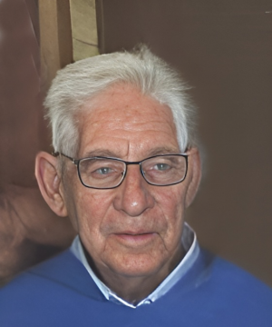 Vincenzo Alleva