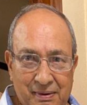 MICHELE PONTI
