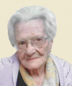 ROSA TORRIERI