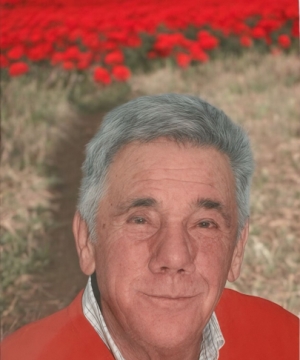 DANTE BASILICO