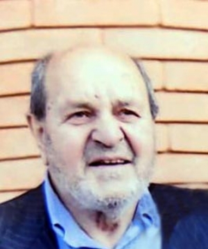 Vittorio Bolgan