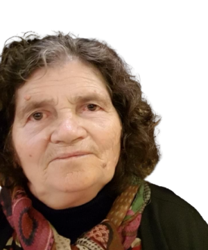 MALIJE BITROSHI