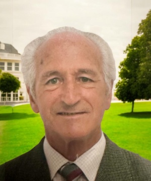 CARLO MONTICELLI