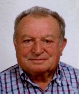 MARIO LISETTO