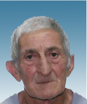 LEO DI FAZIO