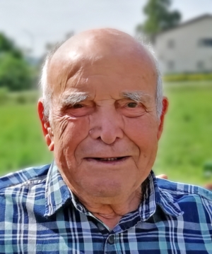 VITTORIO DEL MISSIER