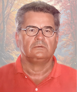 Raimondo Angelo Limido