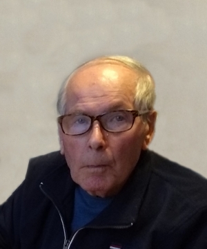 GIOVANNI PITTIONI