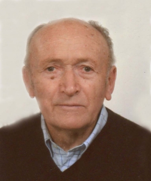 MARIO FREGONESE