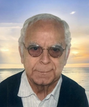 DOMENICO DE ANGELIS