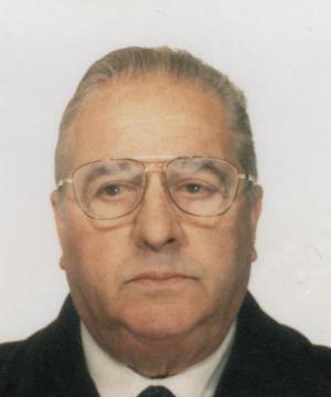 FIORAVANTE MINGARDI