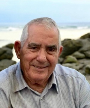 VINCENZO TAIBI