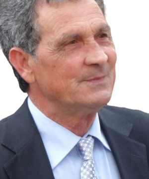 Domenico Gentile