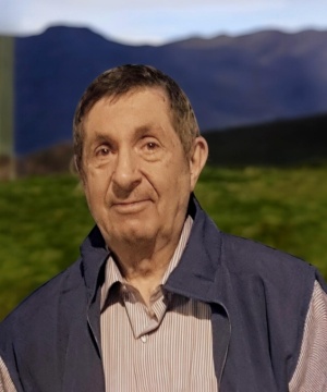 ROBERTO BEFFASTI