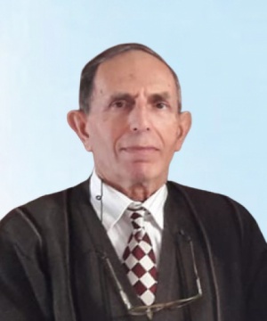 GIUSEPPE MALAGUTI