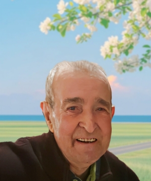 Giovanni Andreoletti