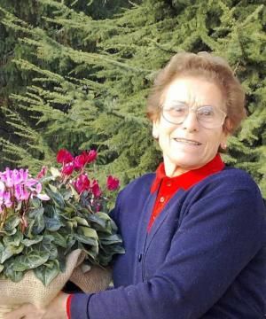 DINA VEZZALI
