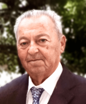 Domenico Massacesi