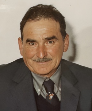 Fausto Dominioni