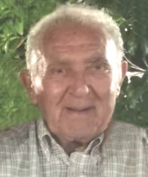Pino Cetrullo