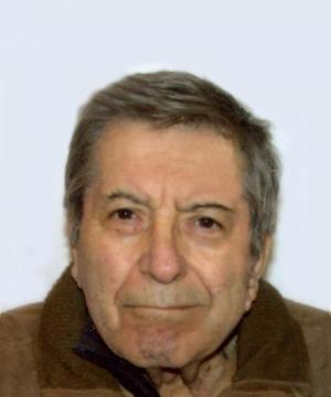 GERMANO GIRONI