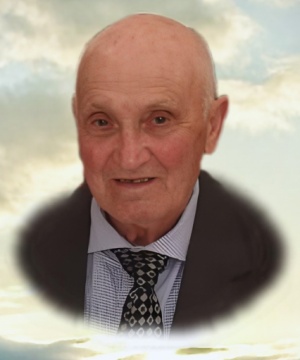 GIUSEPPE TOIA