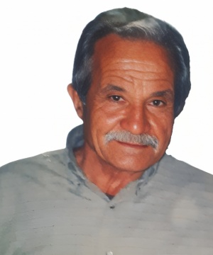 Vincenzo Fisicale