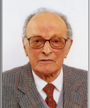 Steno Zannese