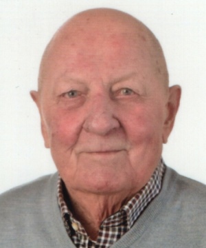 TULLIO BERTOSSI