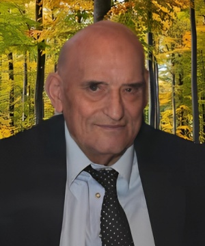 DINO CANESTRELLI