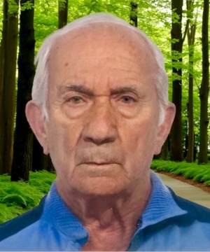 LINO ROMANO'