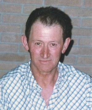 FERUCCIO BERNARDI