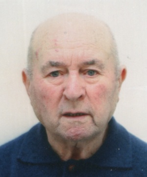 IVO BOSCO