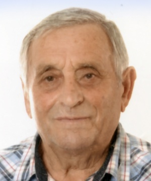 DELVINO FEGGI