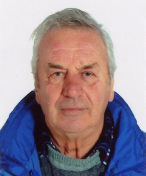 DOMENICO PERESSINI