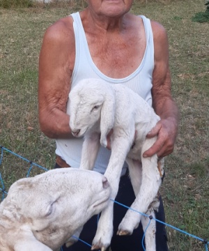 Sergio Cogno