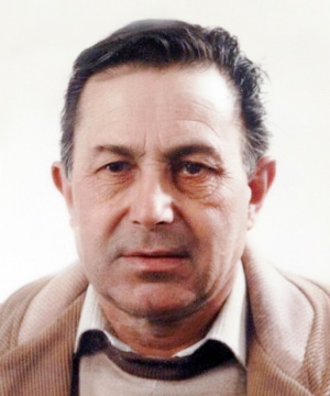 Luigi Nepiani