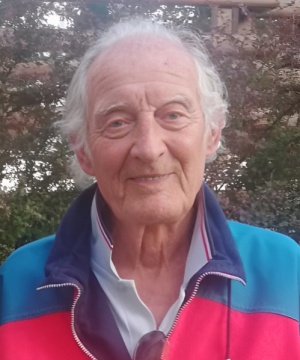 Gino Bressan