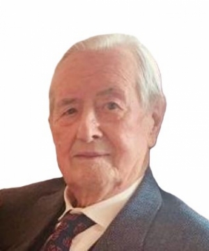 NEREO PERINI