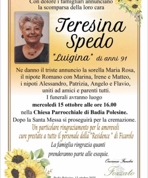 TERESINA SPEDO