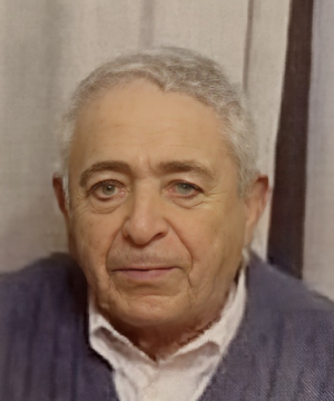 Domenico Tacconelli