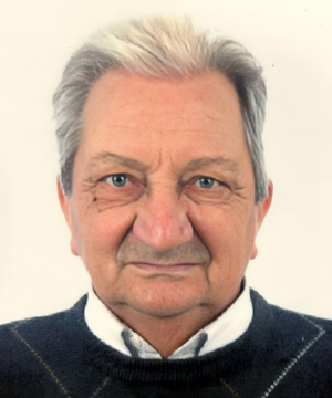 Domenico Intermesoli