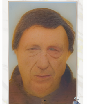 Gabriele Alunni Brachelente