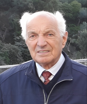Avesani Dario