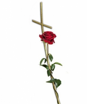 Maria Carmela Ranieri