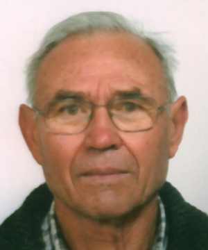 Gino Raffin