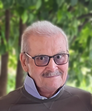 Dott. LUIGI MILANESI